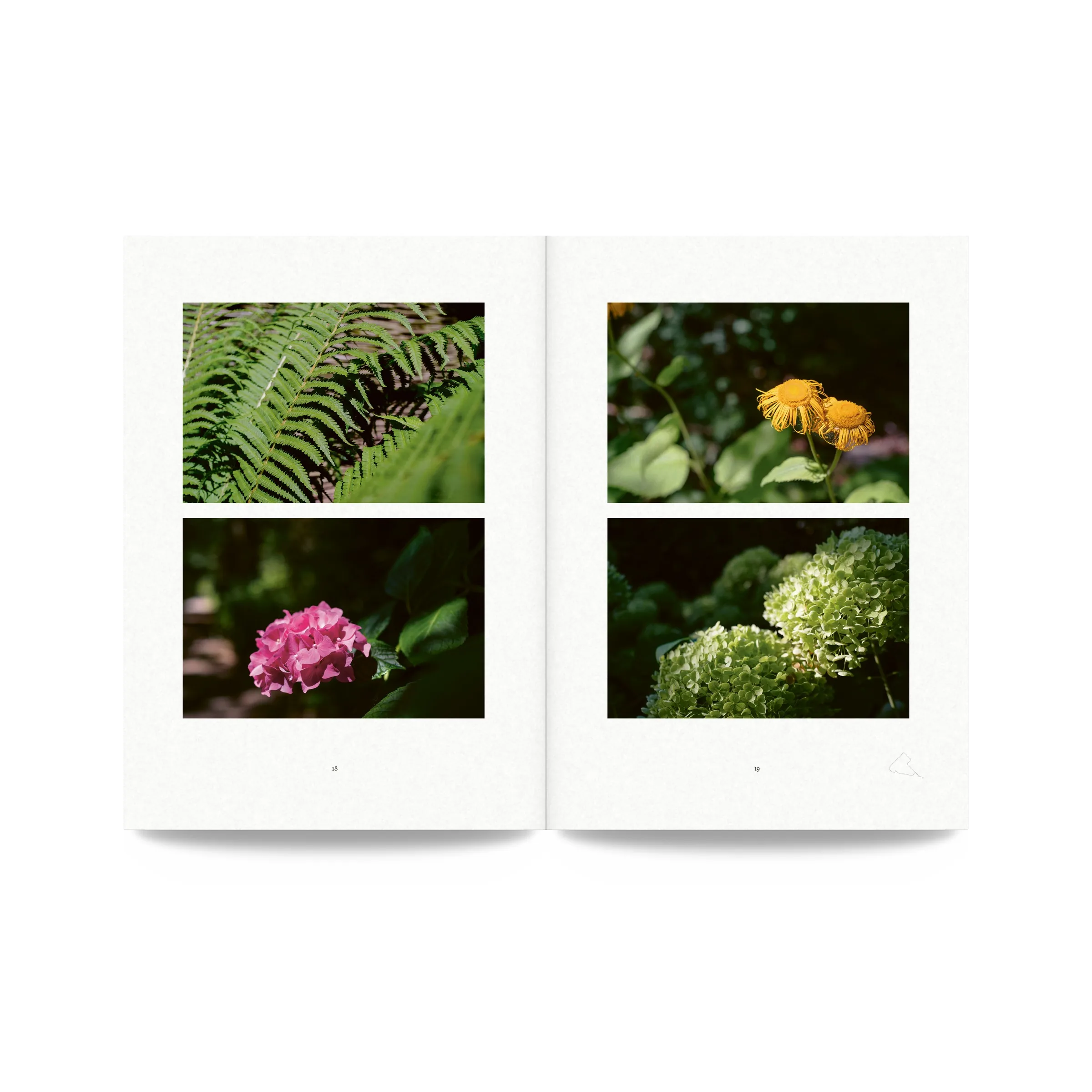 Regulated Wild, pages 18 and 19