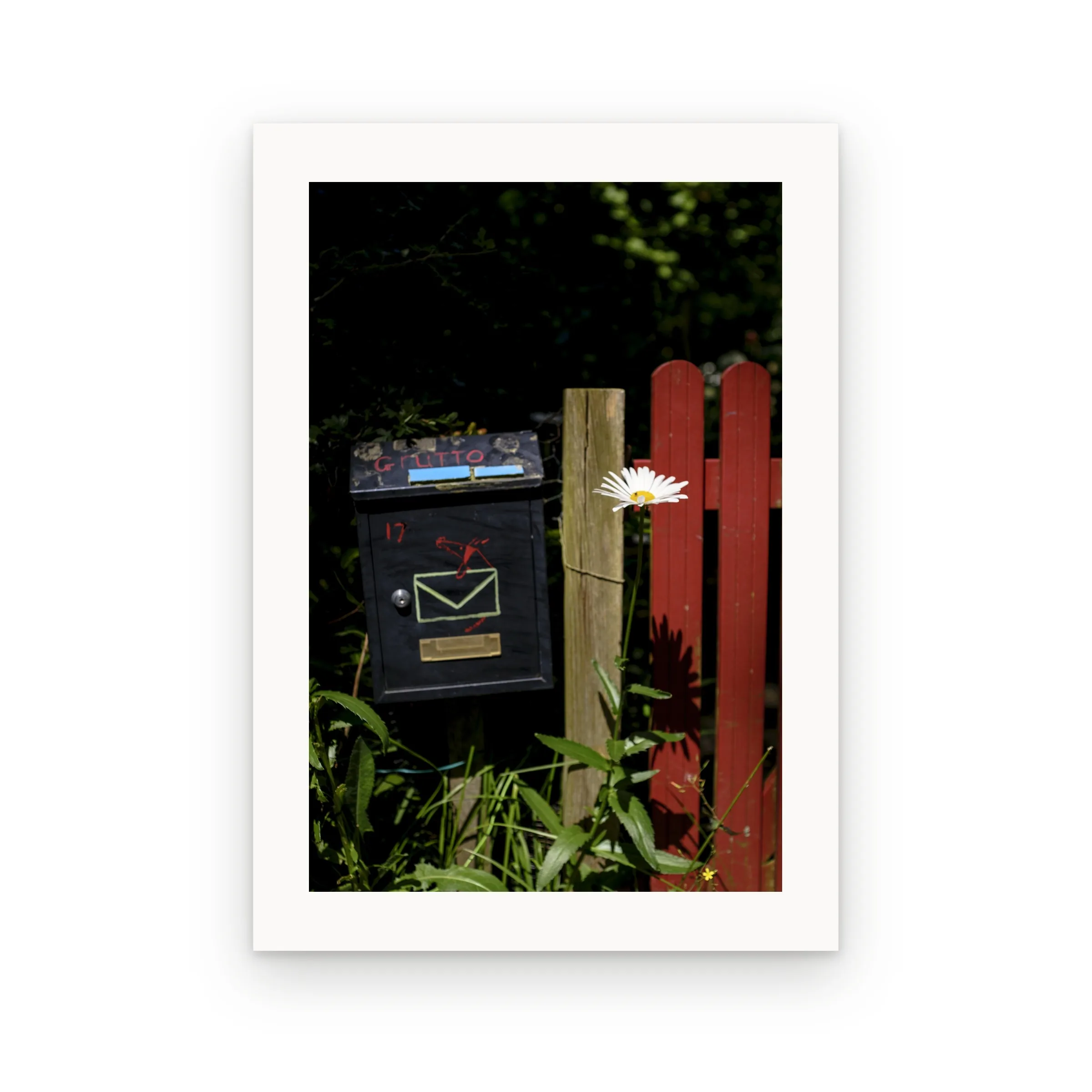 Fine art print: Letterbox, only with the book